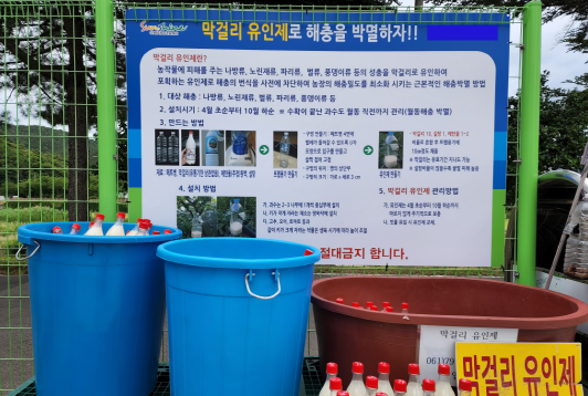 광양시, 폐막걸리 활용 해충유인제 ‘폐막걸리 트랩’ 공급